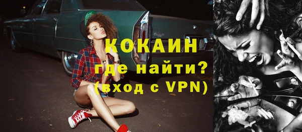 спайс Пересвет