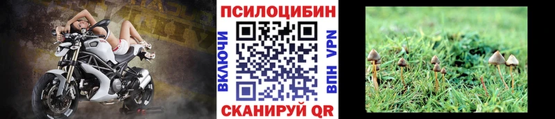 где можно купить   Сафоново  Галлюциногенные грибы ЛСД 